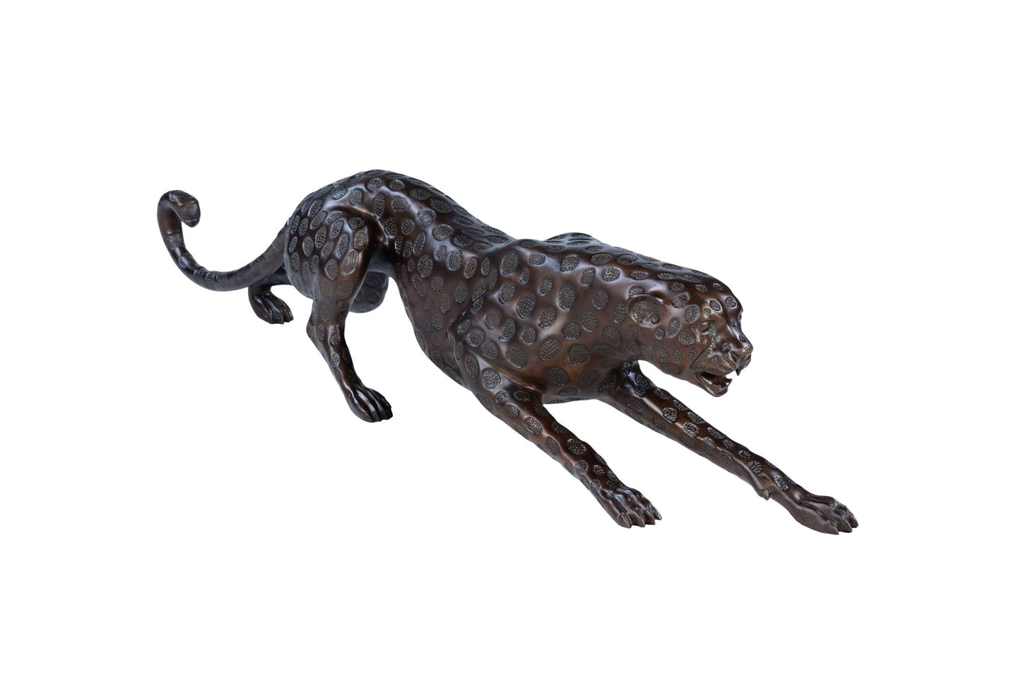 The Cheetah