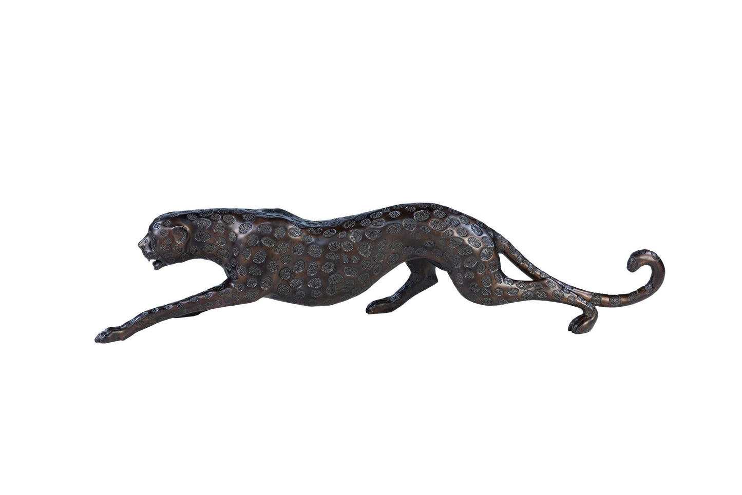 The Cheetah