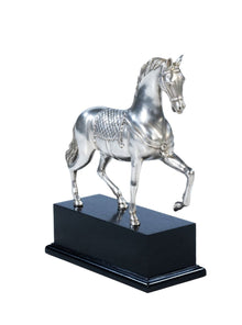 Majestic Horse