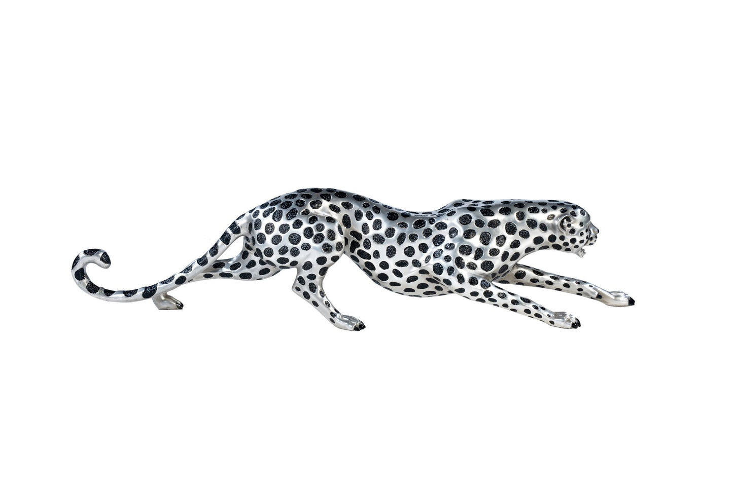 The Cheetah
